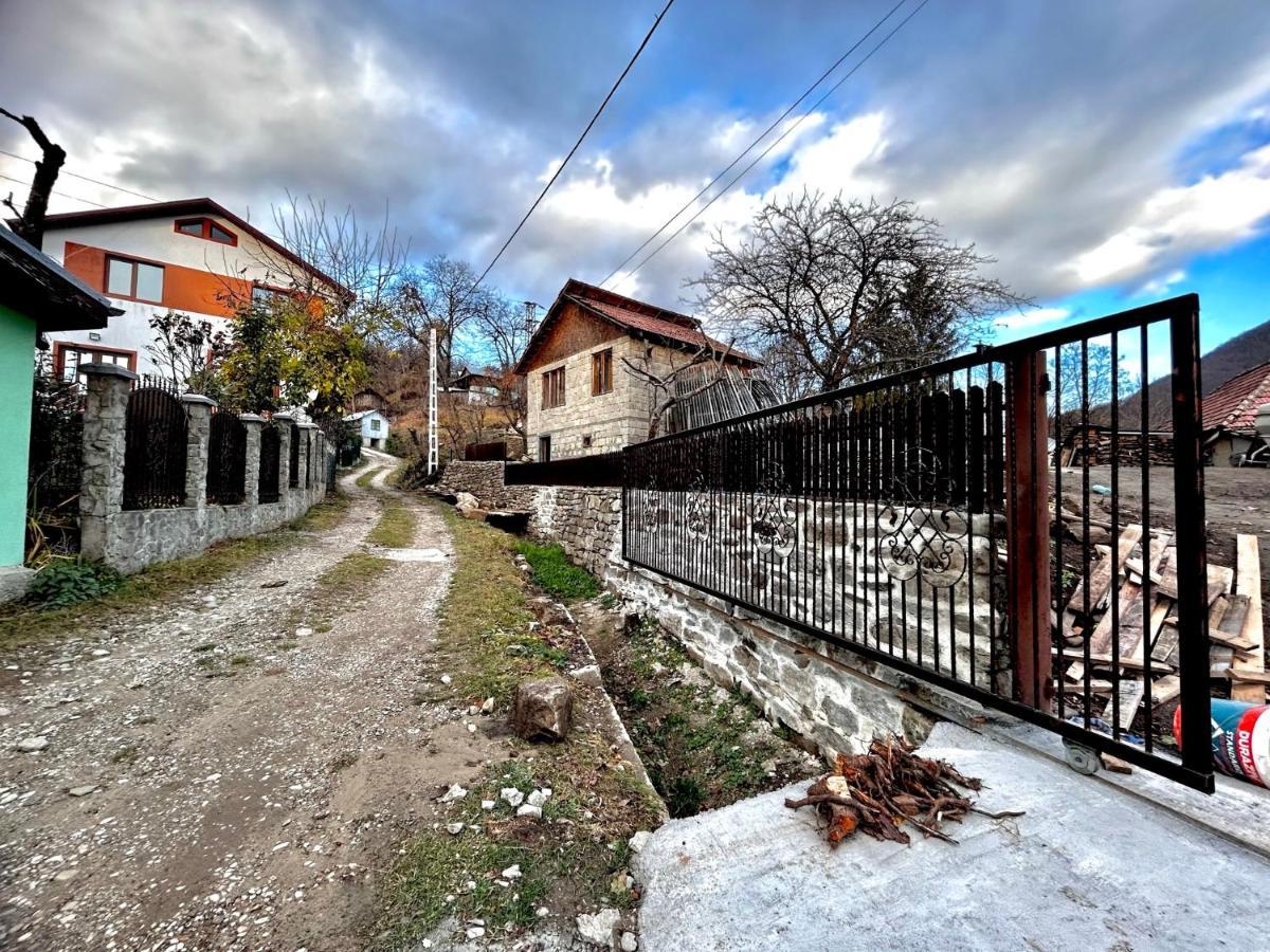 Casa Camelia Villa Nehoiu Exterior photo